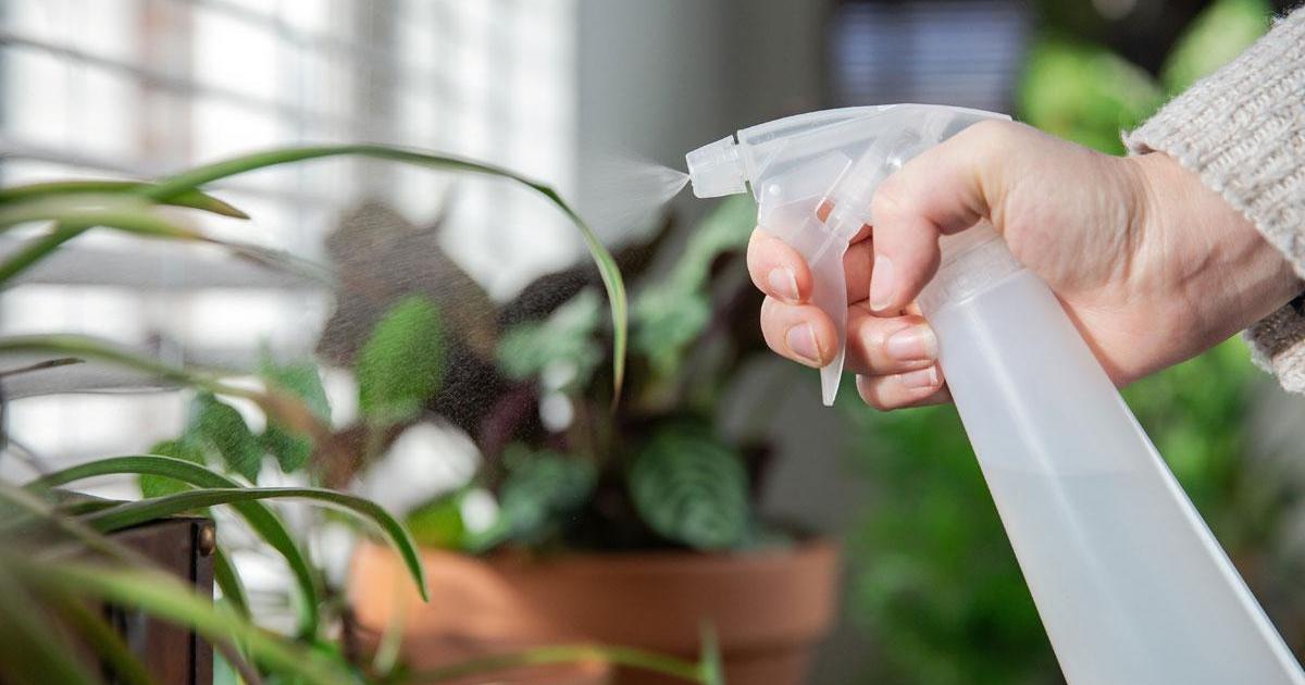 Фото 18 — Как защитить растения от вредителей