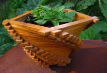 Photo of Как выбрать подходящие горшки для растений