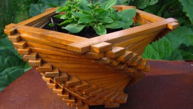 Photo of Как выбрать подходящие горшки для растений