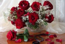 Photo of Свежие цветы для вашего настроения