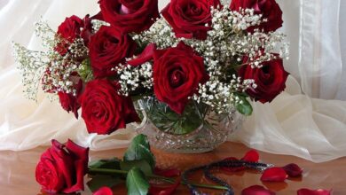 Photo of Свежие цветы для вашего настроения