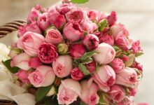 Photo of Топ-10 цветов для свадебного букета