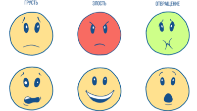 Photo of Цветочные радости для радостных сердец