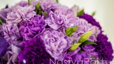 Photo of Букет из гвоздики: классика и элегантность