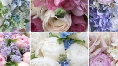 Photo of Утонченные букеты для дорогих людей