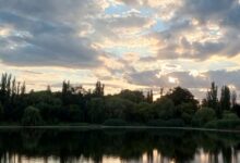 Photo of Элегантные букеты для элегантных дам