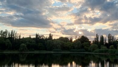 Photo of Элегантные букеты для элегантных дам