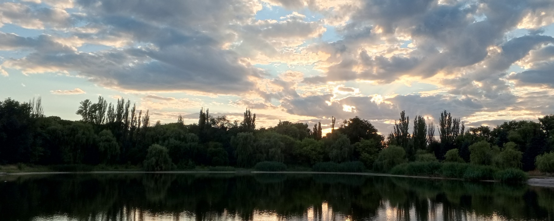 Фото 28 — Элегантные букеты для элегантных дам