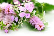 Photo of Нежные букеты для нежных душ