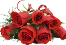 Photo of Букет из роз: символ любви и страсти