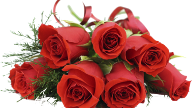 Photo of Букет из роз: символ любви и страсти