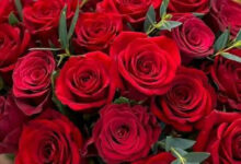 Photo of Нежные цветочные композиции на заказ