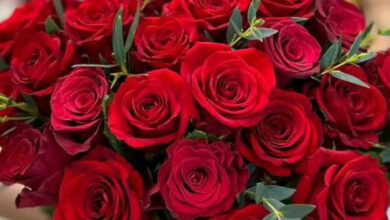 Photo of Нежные цветочные композиции на заказ