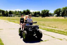 Photo of Летние букеты для летних дней