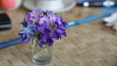 Photo of Нежный букет из фиалок