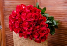 Photo of Цветочные радости для вас и ваших близких