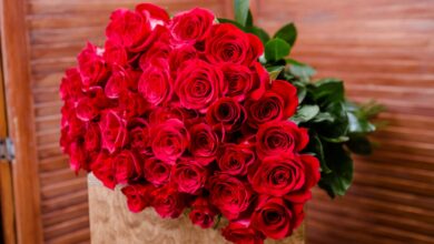 Photo of Цветочные радости для вас и ваших близких
